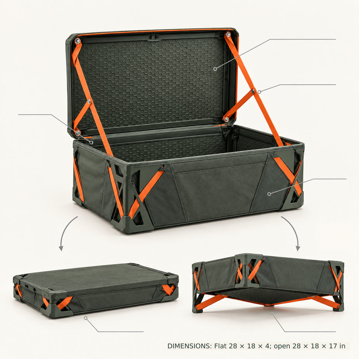 Ribcase Camp Trunk