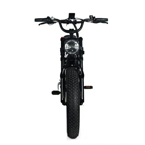 Electric Mountain Bike For Adults With 20 x 4.0 Fat Tires, 1000W Motor, 48V 20Ah Removable Battery, 45MPH Speed, 7-Speed