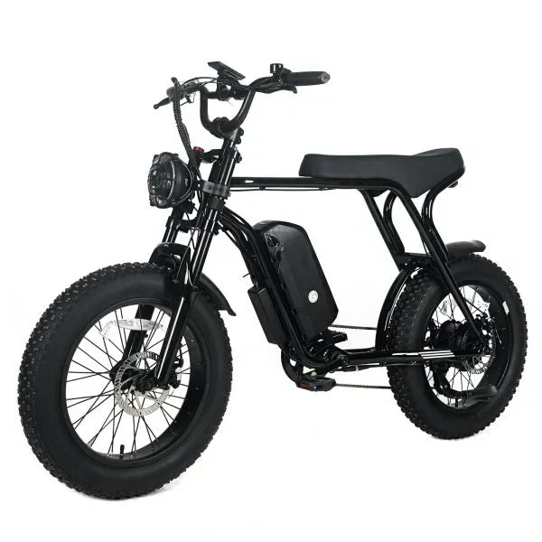 Electric Mountain Bike For Adults With 20 x 4.0 Fat Tires, 1000W Motor, 48V 20Ah Removable Battery, 45MPH Speed, 7-Speed