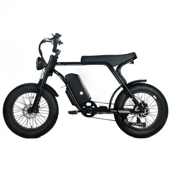 Electric Mountain Bike For Adults With 20 x 4.0 Fat Tires, 1000W Motor, 48V 20Ah Removable Battery, 45MPH Speed, 7-Speed