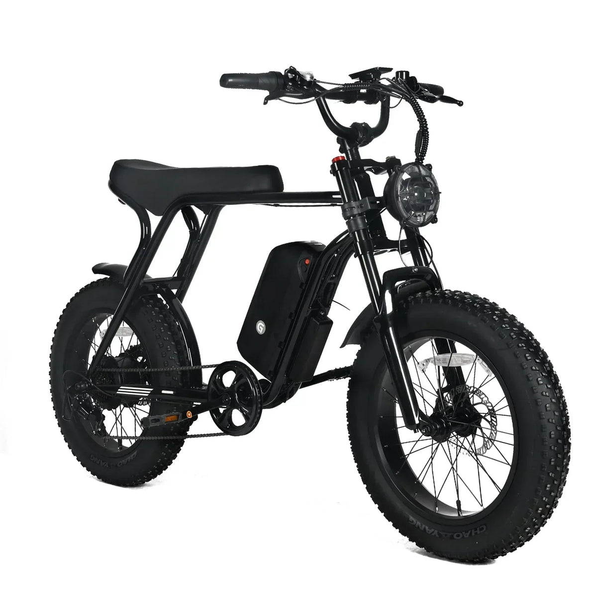 Electric Mountain Bike For Adults With 20 x 4.0 Fat Tires, 1000W Motor, 48V 20Ah Removable Battery, 45MPH Speed, 7-Speed
