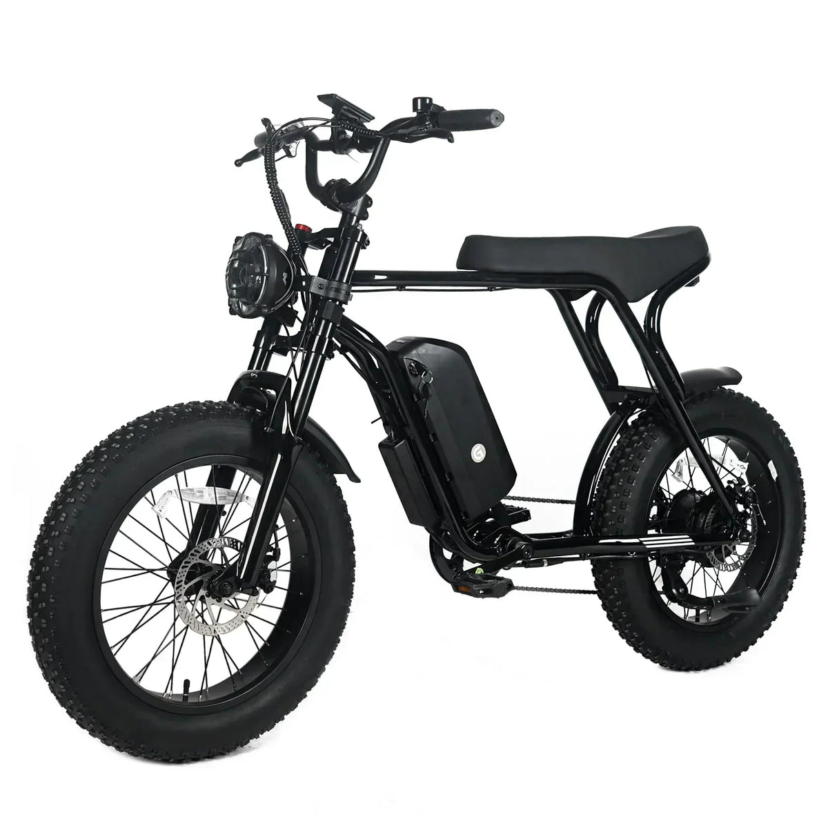 Electric Mountain Bike For Adults With 20 x 4.0 Fat Tires, 1000W Motor, 48V 20Ah Removable Battery, 45MPH Speed, 7-Speed