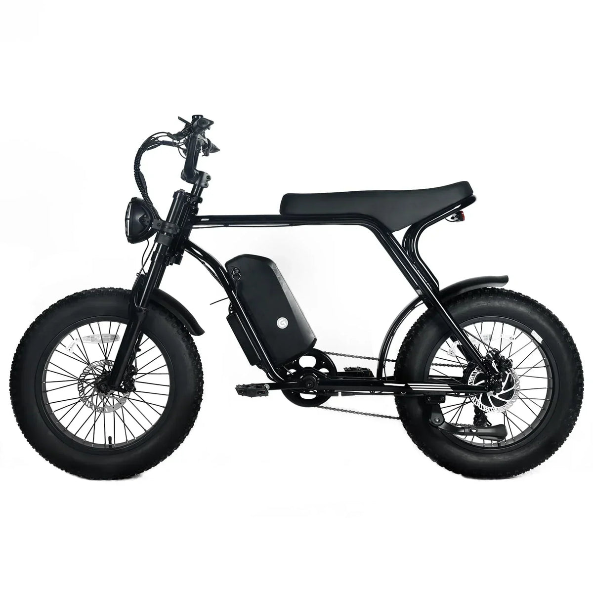 Electric Mountain Bike For Adults With 20 x 4.0 Fat Tires, 1000W Motor, 48V 20Ah Removable Battery, 45MPH Speed, 7-Speed