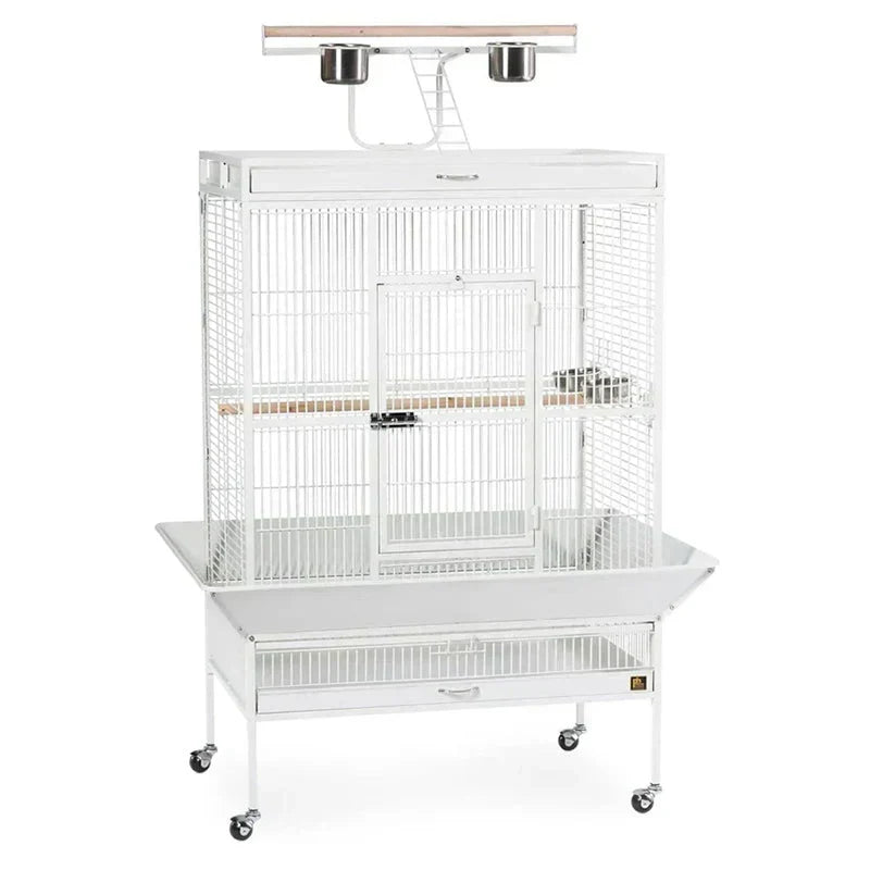 Wrought Iron Select Bird Cage 3154C, Chalk White, 36-Inch by 24-Inch by 66-Inch
