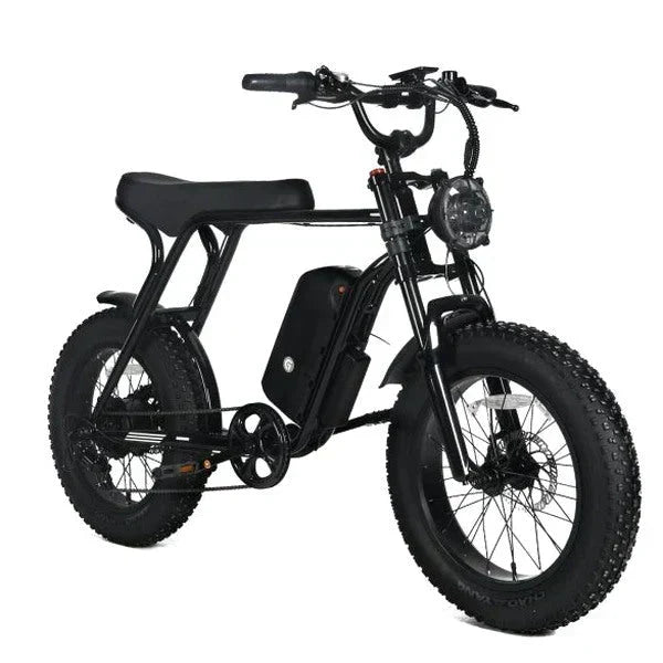 Electric Mountain Bike For Adults, 20 x 4.0 Fat Tires, 1000W Motor, 48V 20Ah Battery, Black - G-M1Sp