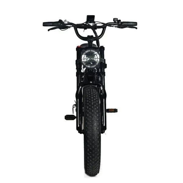 Electric Mountain Bike For Adults, 20 x 4.0 Fat Tires, 1000W Motor, 48V 20Ah Battery, Black - G-M1Sp