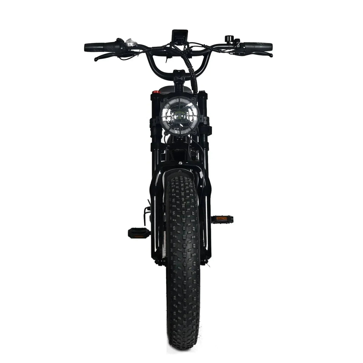 Electric Mountain Bike For Adults, 20 x 4.0 Fat Tires, 1000W Motor, 48V 20Ah Battery, Black - G-M1Sp