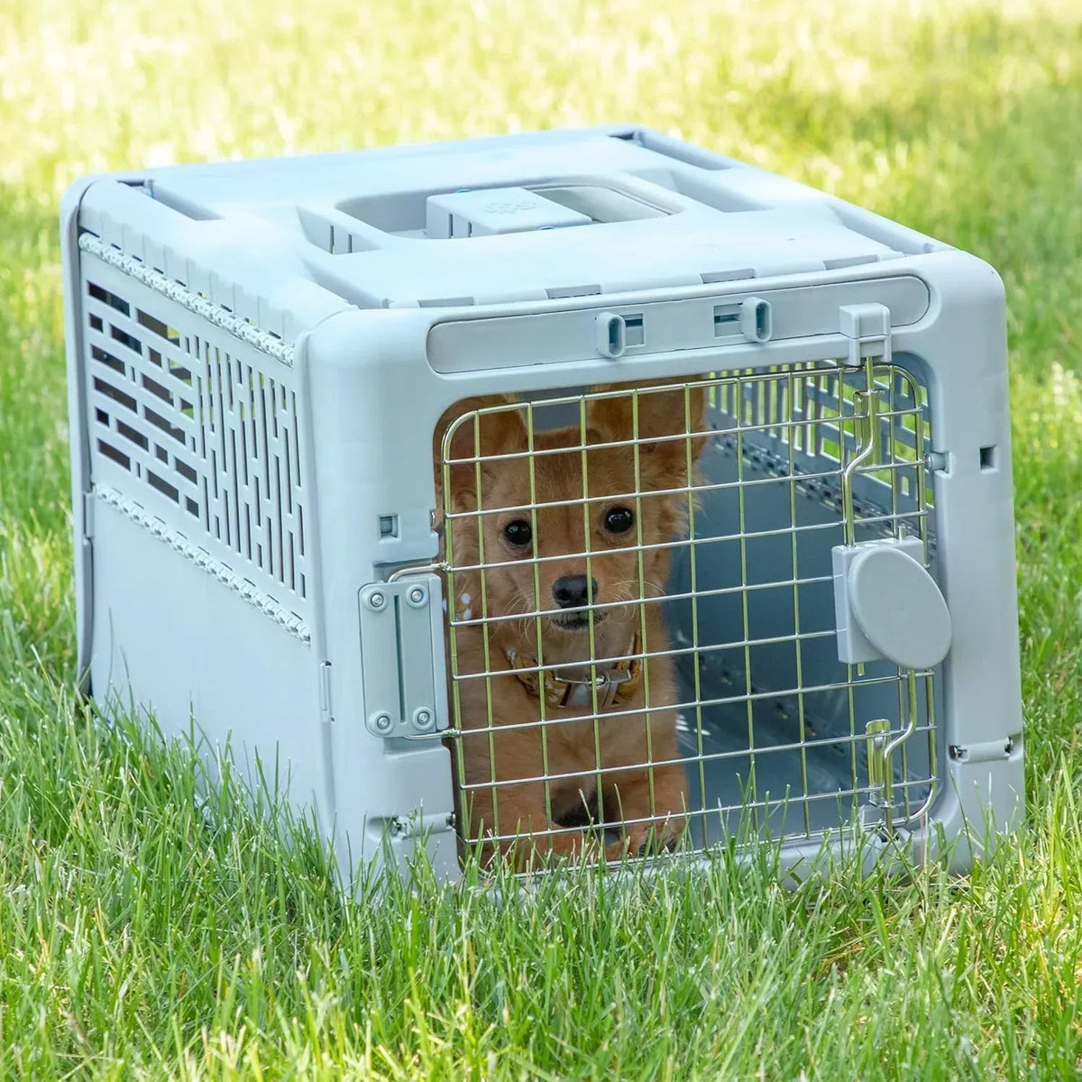 Designs Plastic Kennels Rolling Plastic Airline Approved Wire Door Travel Dog Crate, XXX-Large, Gray