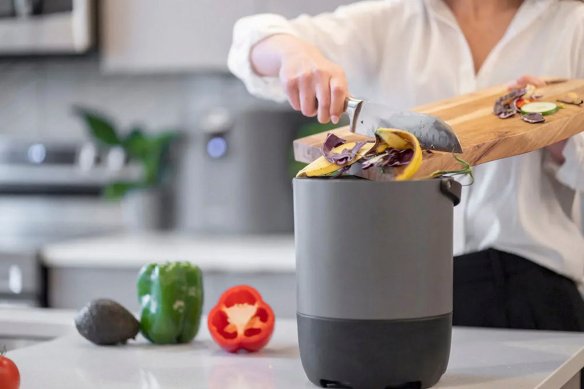 Foodcycler Eco 5 Odorless Indoor Compost Electric Food Waste Disposer 5 L, Gray